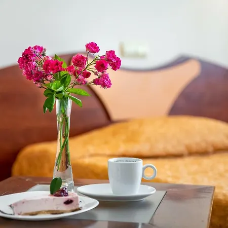 酒店 阿达莫酒店 瓦爾納